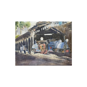 DHR YARD- Darjeeling